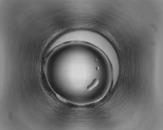 X0000111590444200907161457