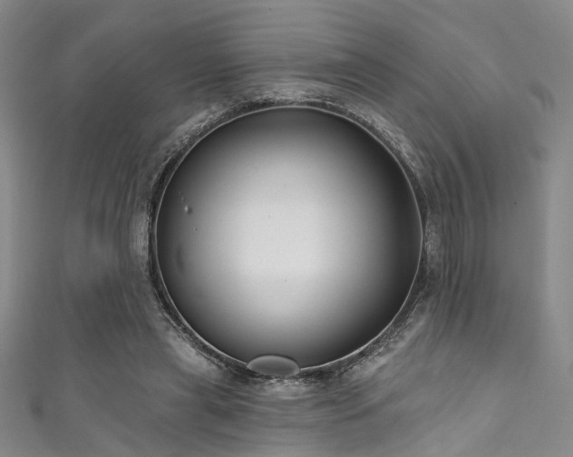 X0000111590445200907161457