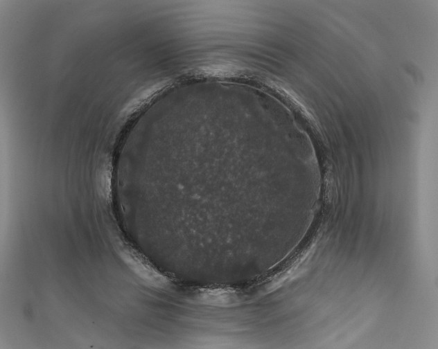 X0000111590446200907161457