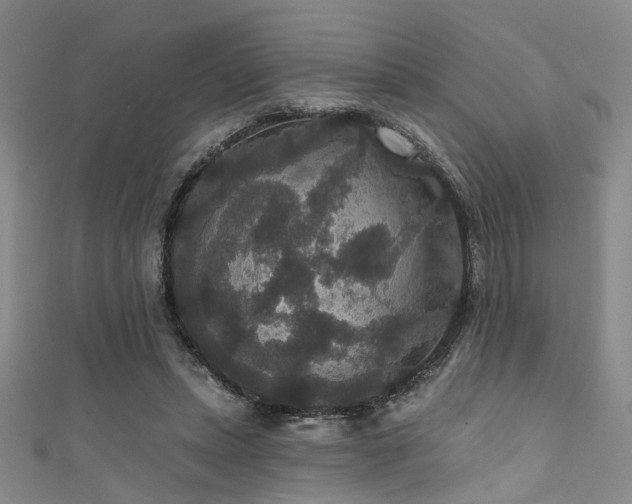 X0000111590447200907161457