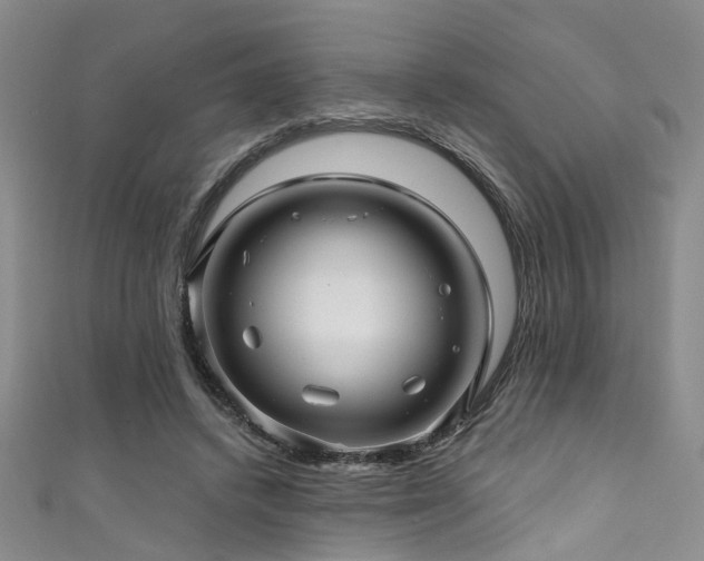 X0000111590448200907161457