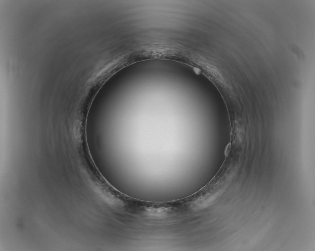 X0000111590450200907161457