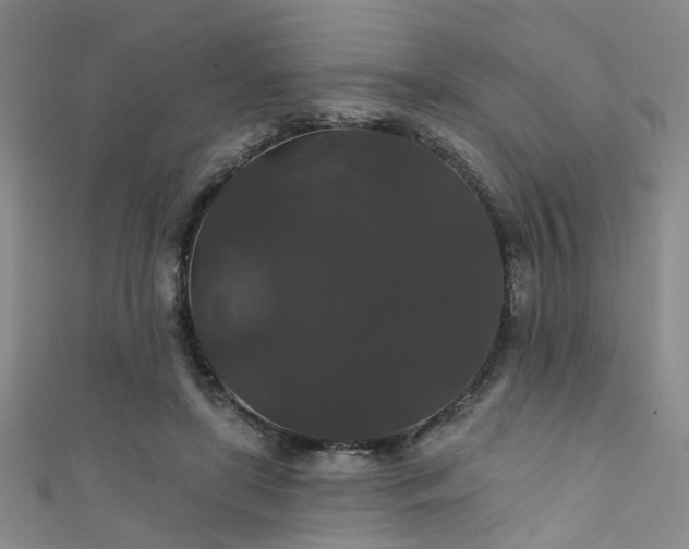 X0000111590451200907161457