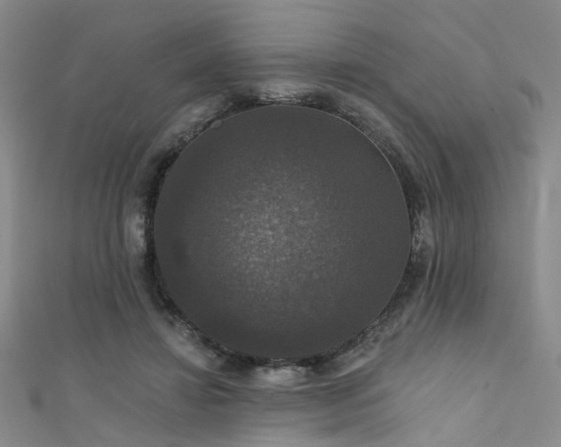 X0000111590452200907161457