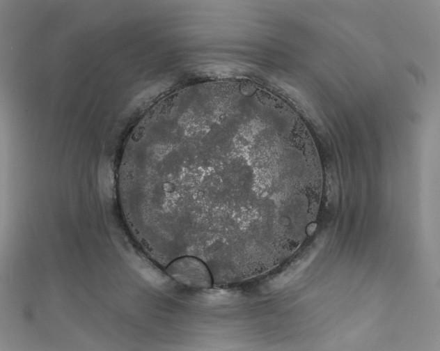 X0000111590453200907161457