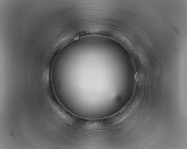 X0000111590454200907161457