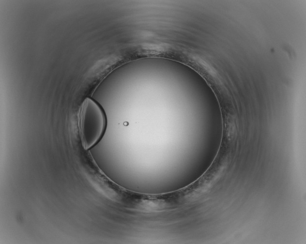 X0000111590455200907161457