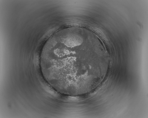 X0000111590457200907161457