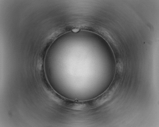 X0000111590458200907161457