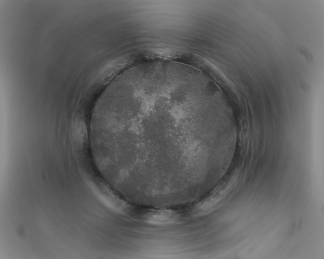 X0000111590459200907161457