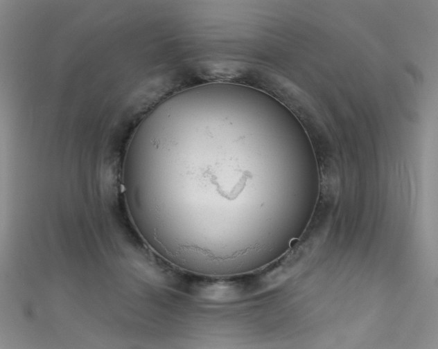 X0000111590460200907161457