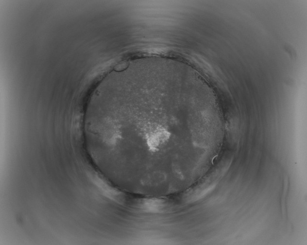 X0000111590462200907161457