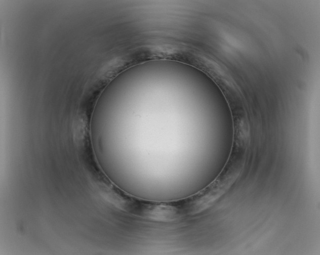 X0000111590463200907161457