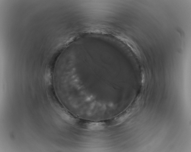 X0000111590465200907161457