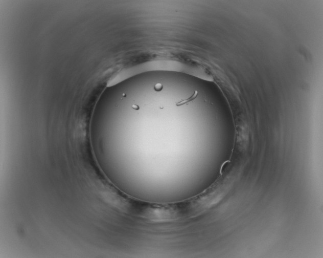 X0000111590466200907161457