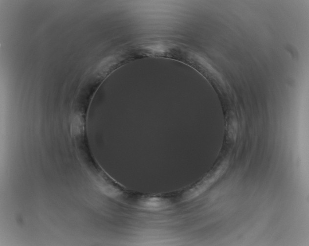 X0000111590467200907161457