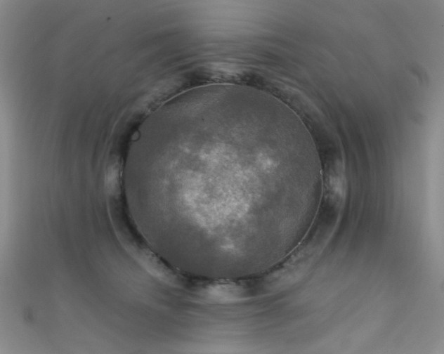 X0000111590468200907161457