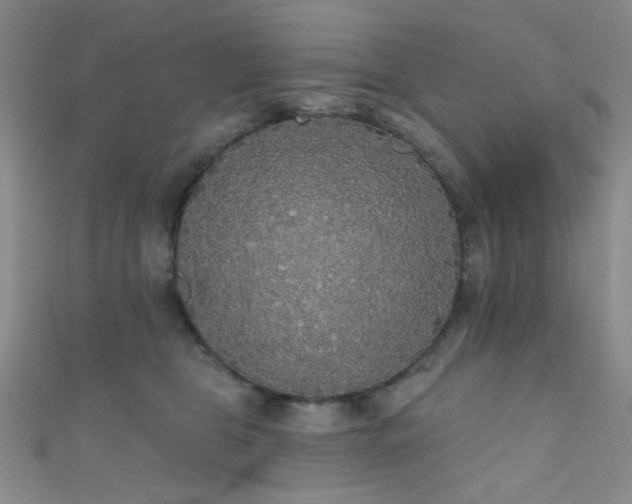 X0000111590469200907161457