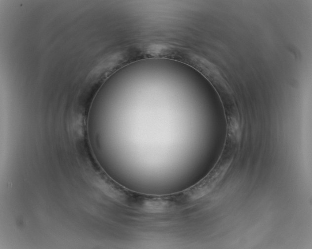 X0000111590470200907161457