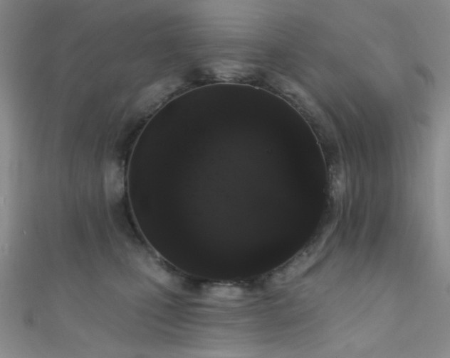 X0000111590471200907161457