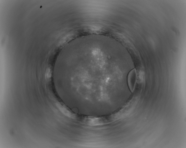 X0000111590472200907161457