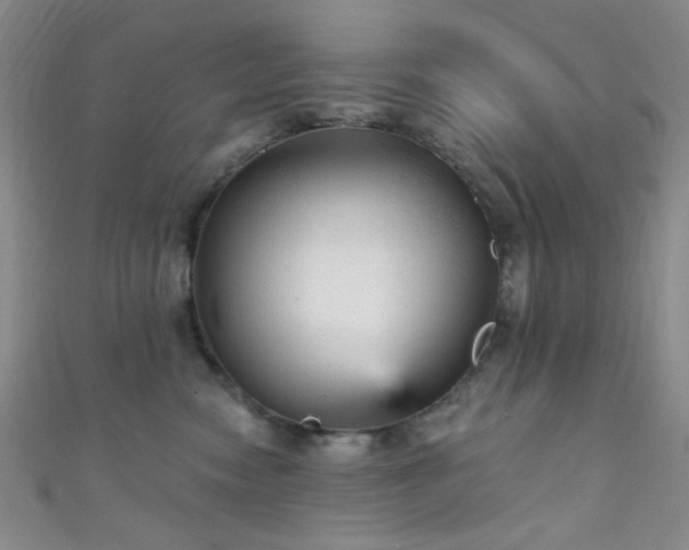 X0000111590474200907161457