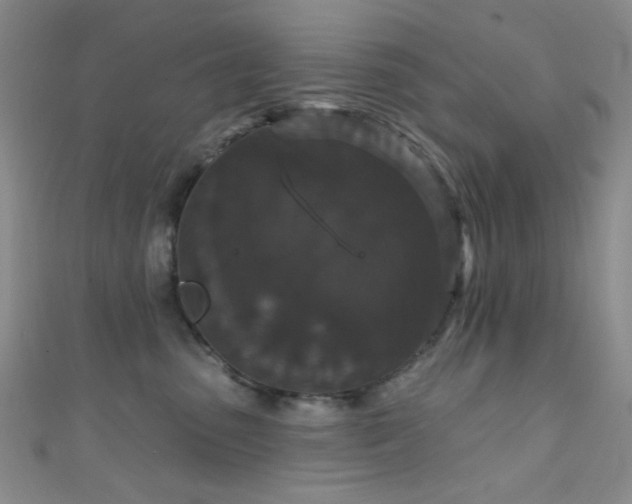 X0000111590475200907161457