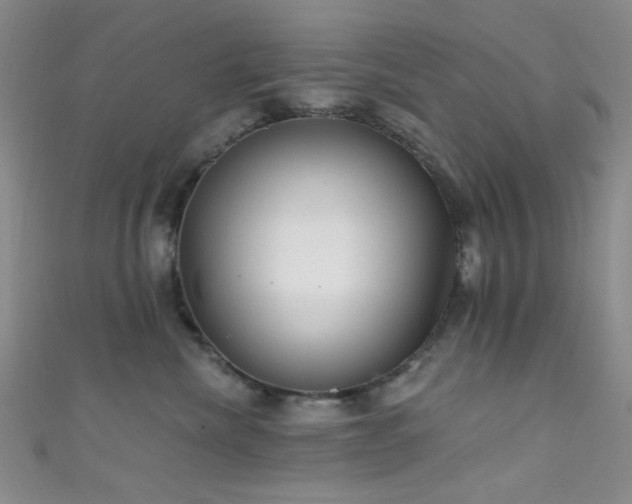 X0000111590476200907161457