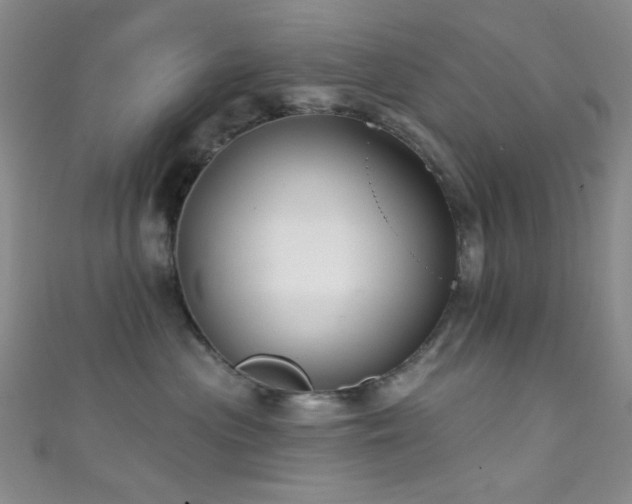 X0000111590477200907161457