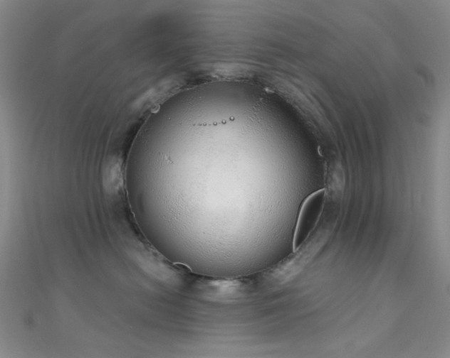 X0000111590478200907161457