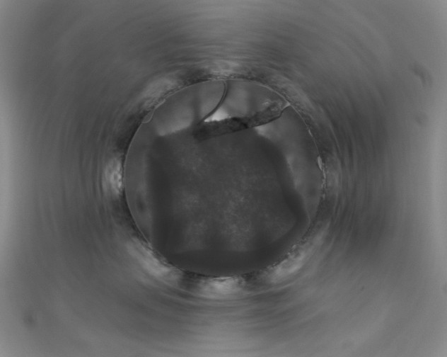 X0000111590479200907161457