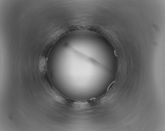 X0000111590480200907161457