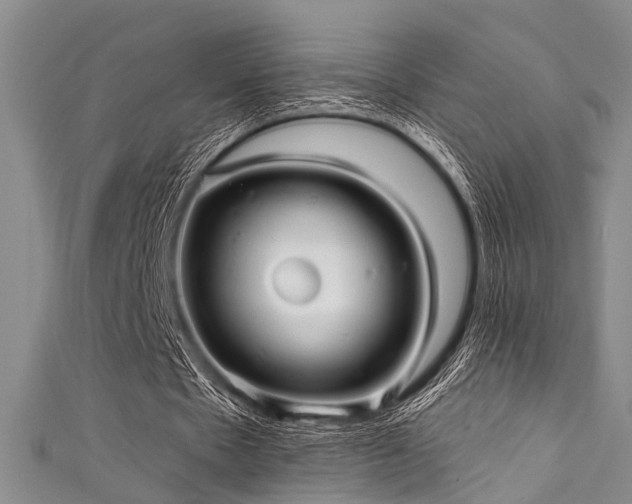 X0000111590481200907161457