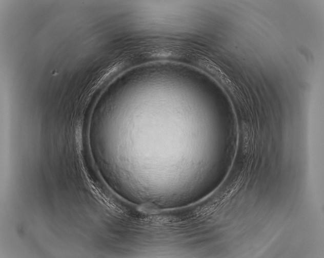 X0000111590482200907161457