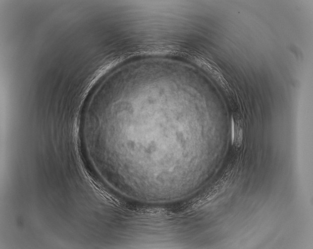 X0000111590483200907161457