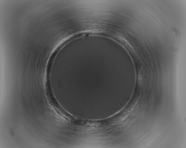 X0000111590484200907161457