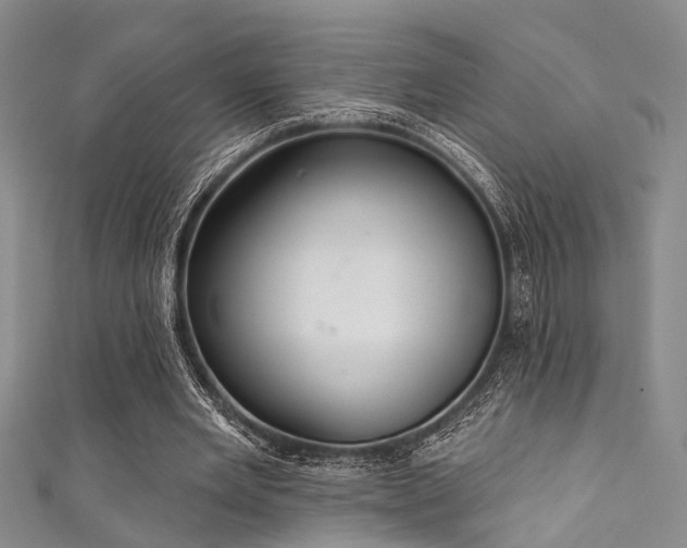 X0000111590485200907161457