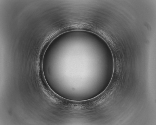 X0000111590486200907161457