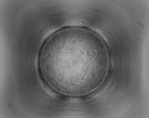 X0000111590487200907161456