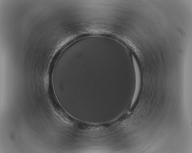 X0000111590488200907161456