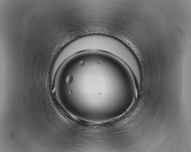 X0000111590489200907161456