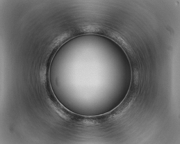 X0000111590490200907161456