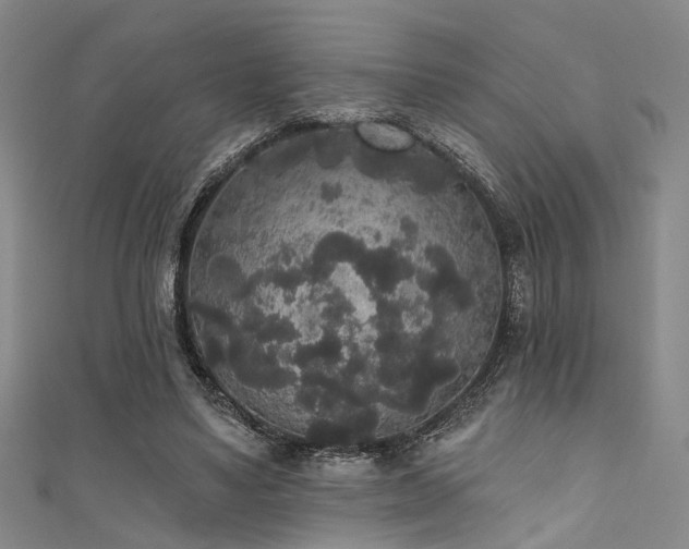 X0000111590491200907161456