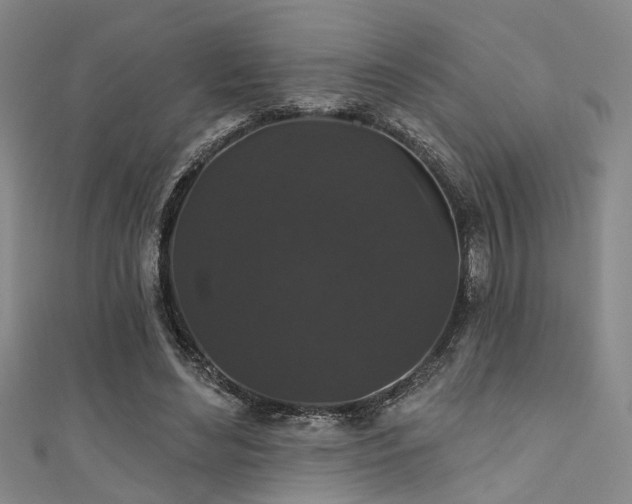 X0000111590492200907161456