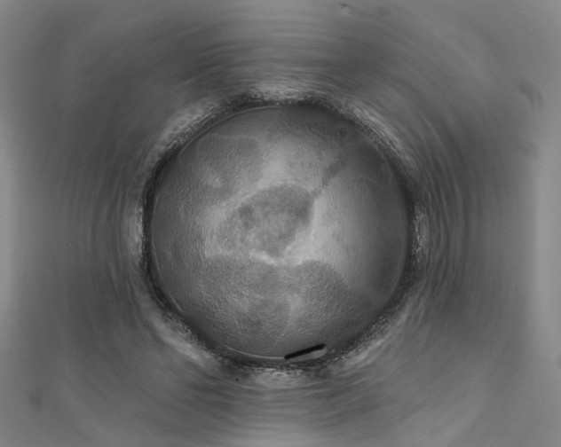 X0000111590494200907161456