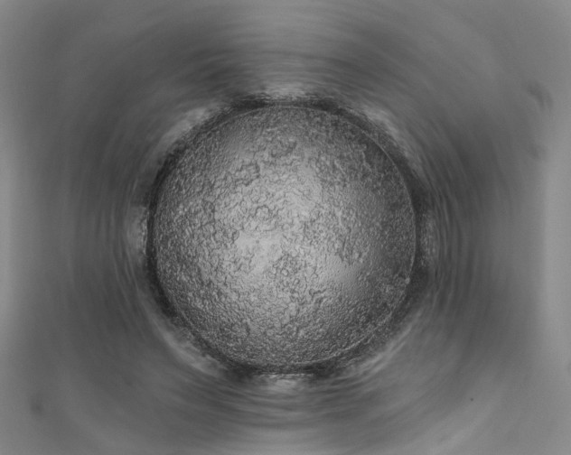 X0000111590495200907161456