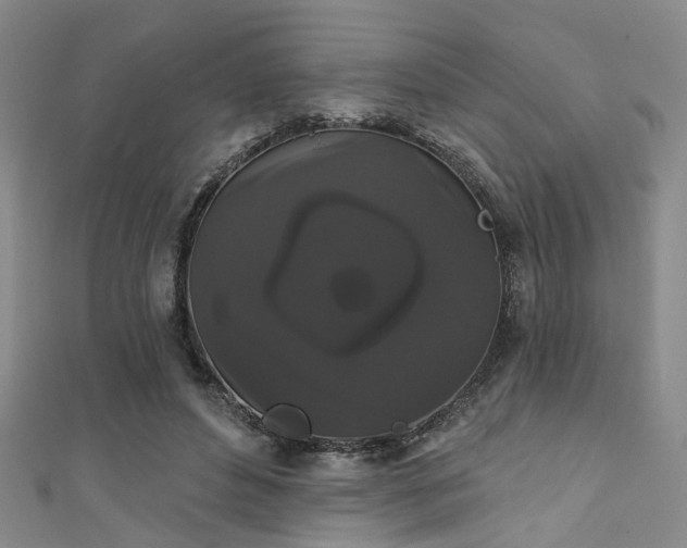 X0000111590496200907161456