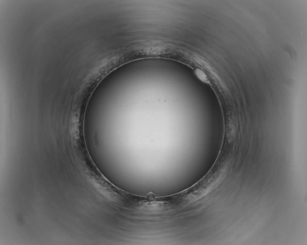 X0000111590497200907161456