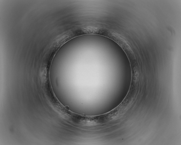 X0000111590498200907161456