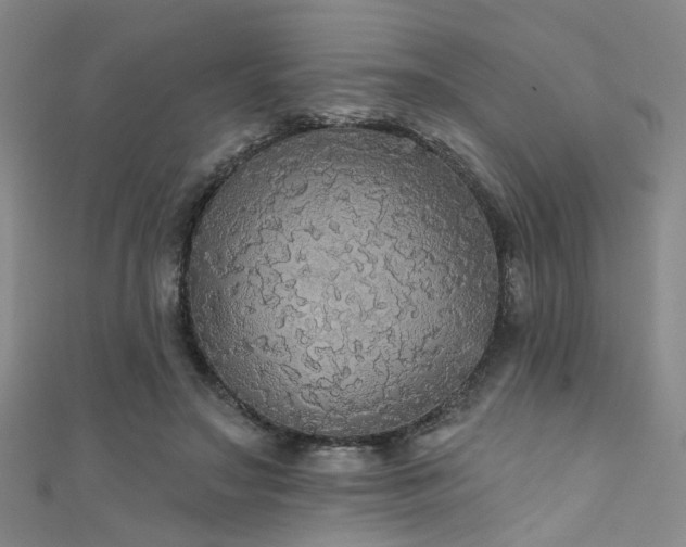 X0000111590499200907161456